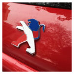 ارم عقب پژو طرح پرچم فرانسه - Image 4