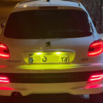 مه شکن عقب پژو 207 طرح سه بعدی SH رنگ دودی (مولتی کالر) - Image 8